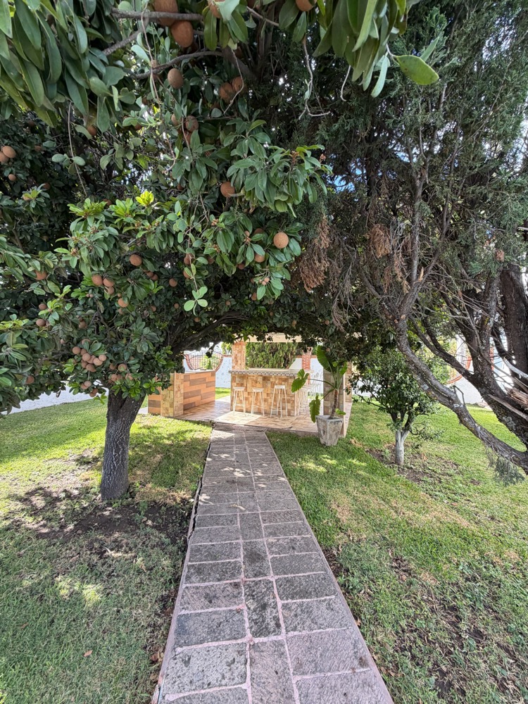 Palapa y bar de Casa Rino Cuautla