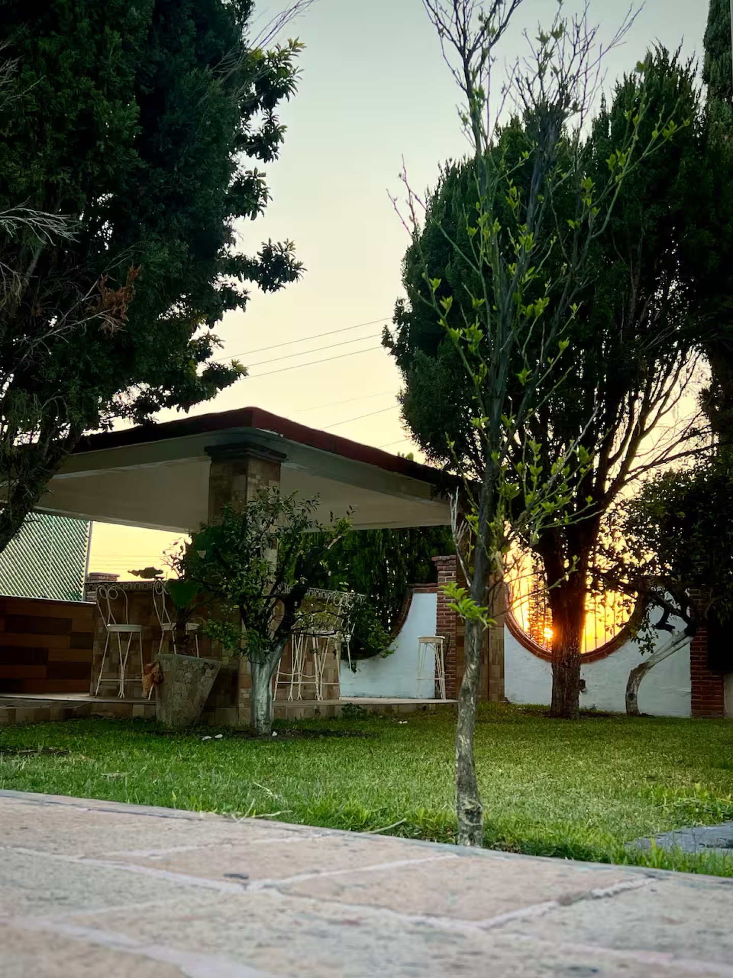 Palapa y jardín de Casa Rino Cuautla al atardecer